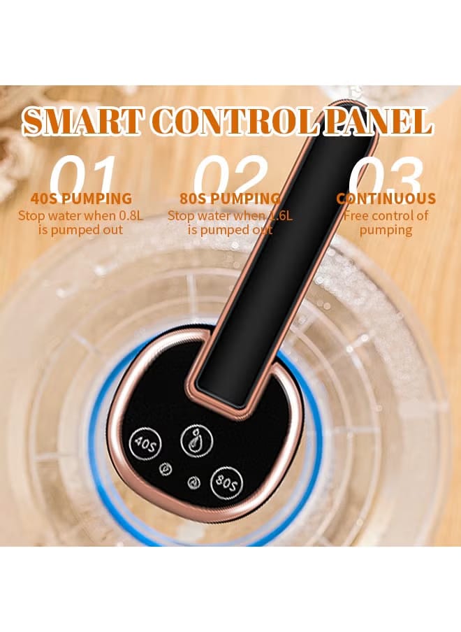 Portable Electric Water Pump