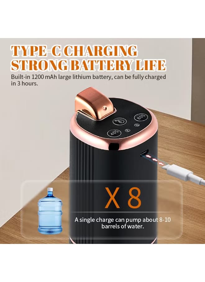 Portable Electric Water Pump