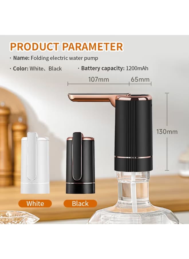 Portable Electric Water Pump